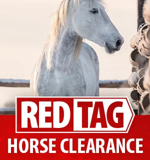 Horse Clearance