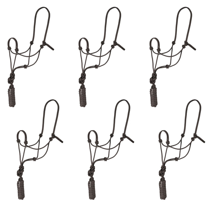 Rope Halter with Lead, 6 pk -   