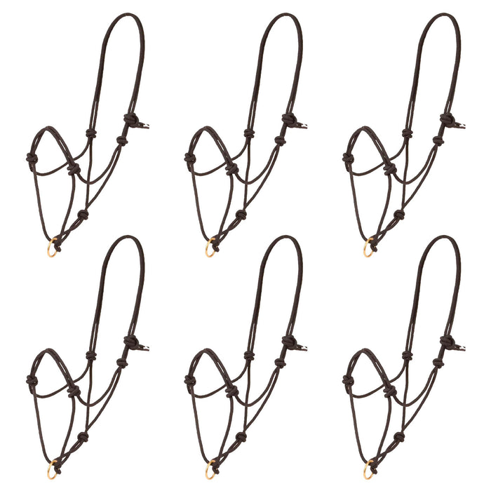 Poly Rope Halter with Brass Plated Lead Ring - 6 Pack  