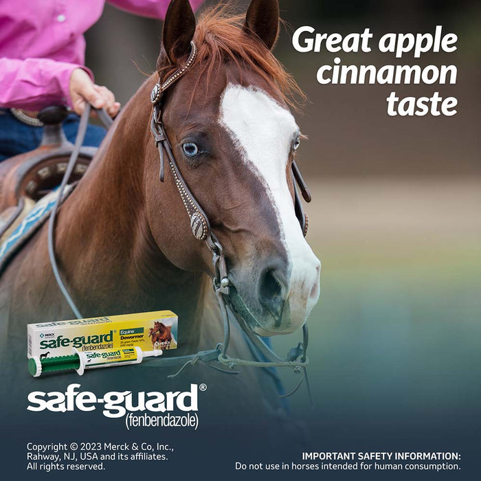 Safe-Guard Dewormer Paste - Horses, 25 g Single Pack 