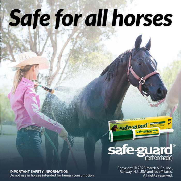 Safe-Guard Dewormer Paste - Cattle & Horses, 92 g Single Pack 