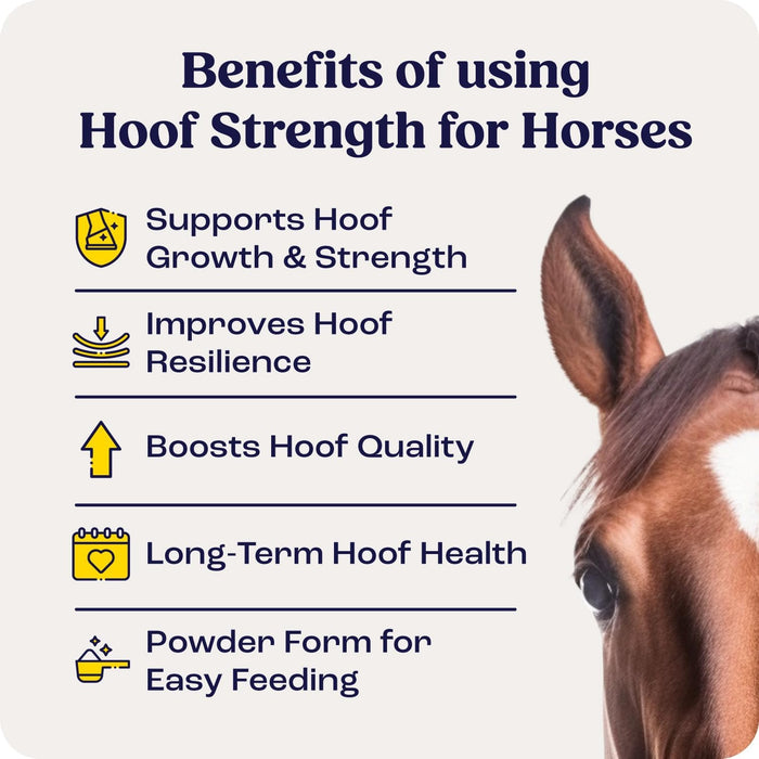 Summit Animal Health - Hoof Strength Powder for Horses, 9.1 oz