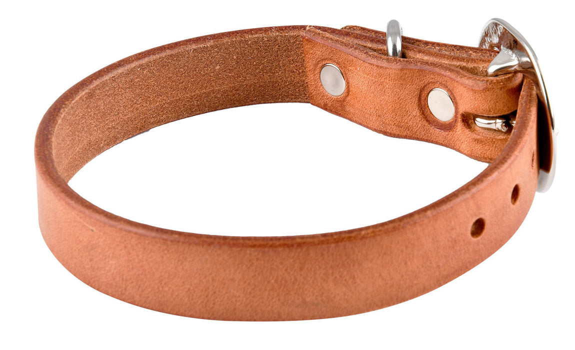 San Saba Dog Collar - 22 in  