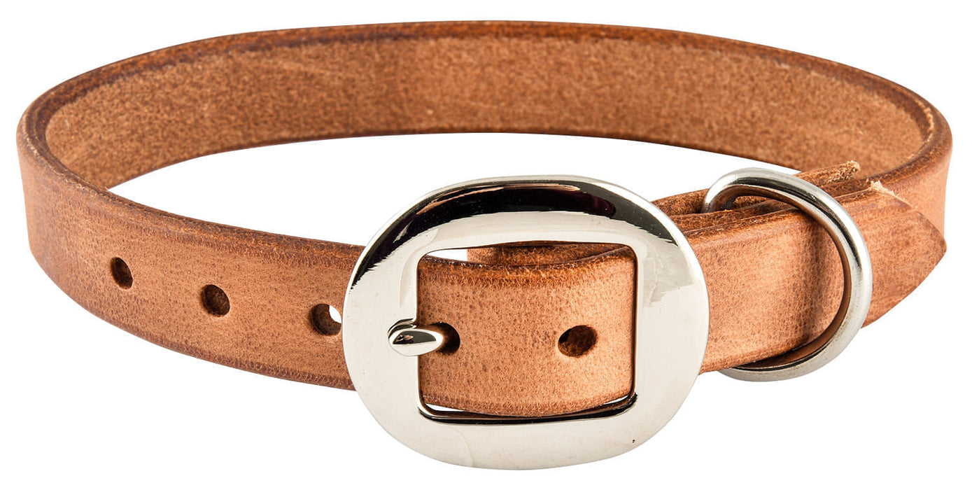 San Saba Dog Collar - 22 in  