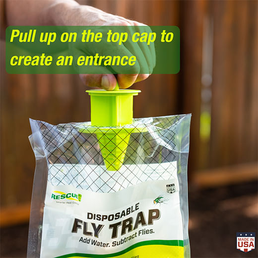 RESCUE! Disposable Fly Trap - RESCUE! Disposable Fly Trap, 12 ct  