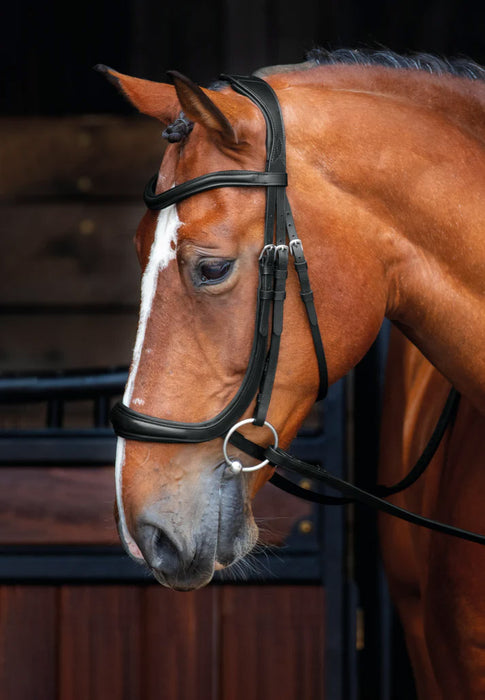 Velociti Rapida Ergonomic Curved Cavesson Bridle Color Black