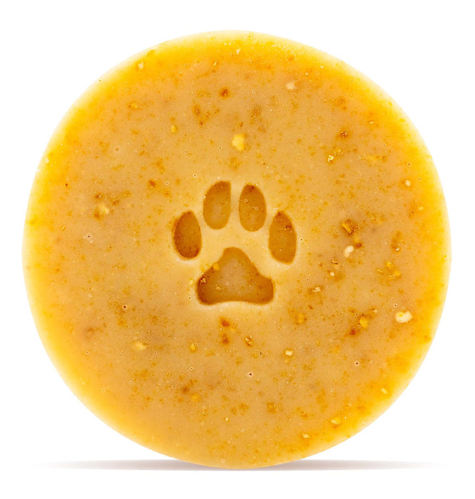 Goat Milk & Oatmeal Dog Shampoo Bar -   