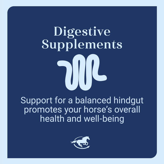 GUT, Digestive & Stomach Support Supplement for Horses, Pellets