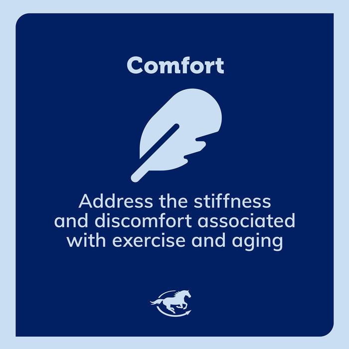 SmartEquine Smart & Simple Turmeric Pellets Size 6 lb