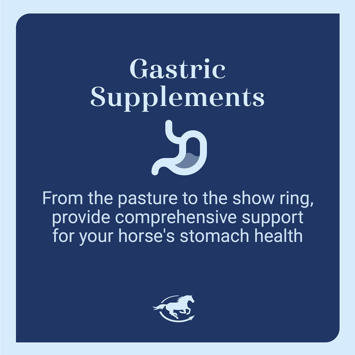 GUT, Digestive & Stomach Support Supplement for Horses, Pellets