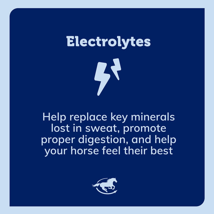 Pro Formula Labs Lyte Now Electrolyte Paste Horse Supplement