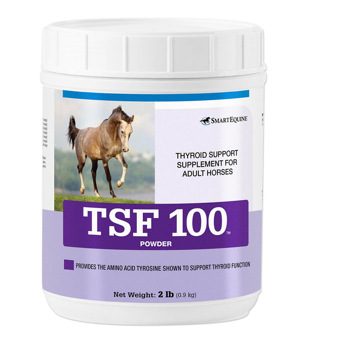 TSF 100, Thyroid Support Supplement for Horses, Powder