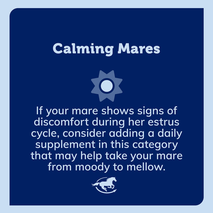 Mare Ease Horse Calming Supplement, Powder