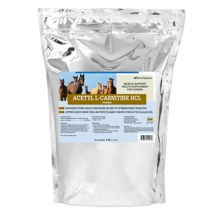 Acetyl L-Carnitine HCL Muscle Support for Horses, Powder