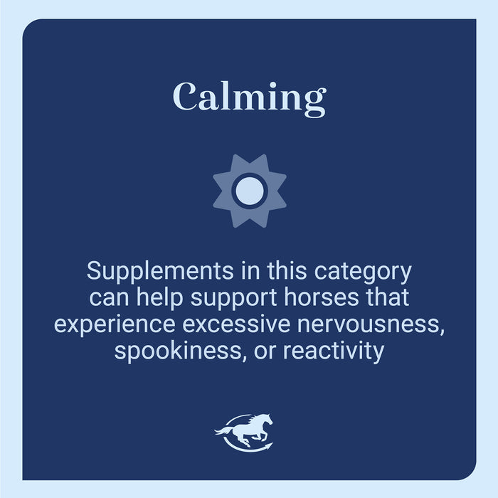 Seroquine Calming Support for Horses, Paste