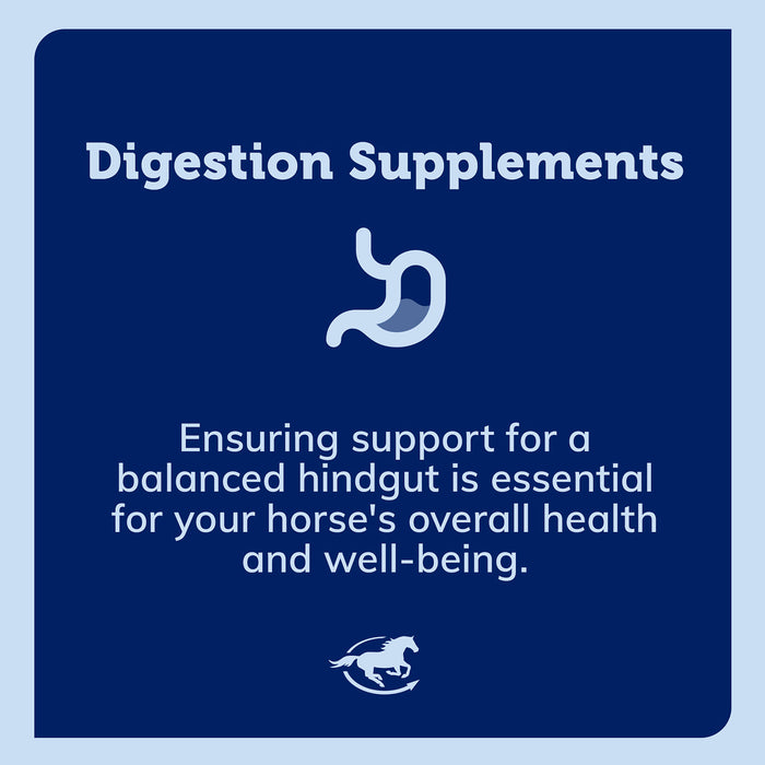 SmartEquine SmartDigest Ultra Paste Size One Size