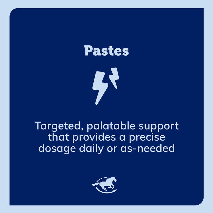 SmartEquine SmartLytes Paste Size One Size