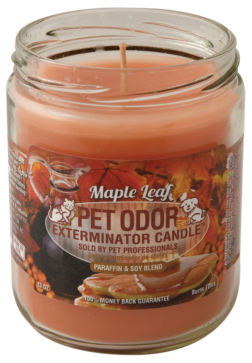 Pet Odor Exterminator Candle, Maple Leaf -   