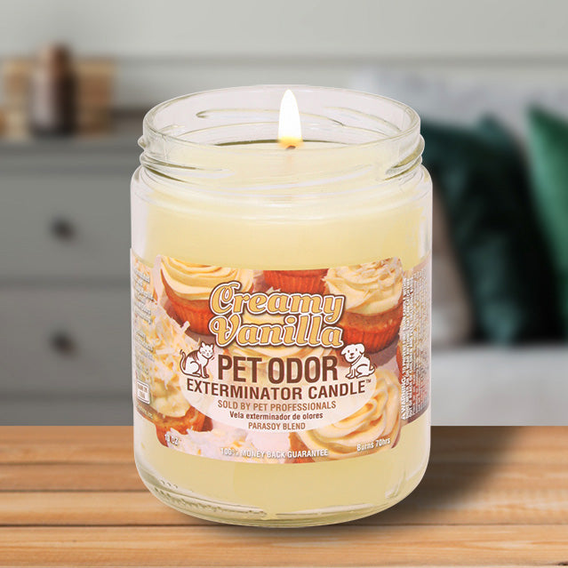 Odor exterminator candles best sale