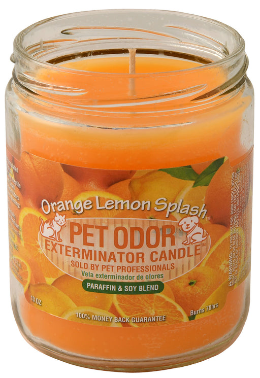 Pet Odor Exterminator Candle, Orange Lemon Splash, 13 oz -   