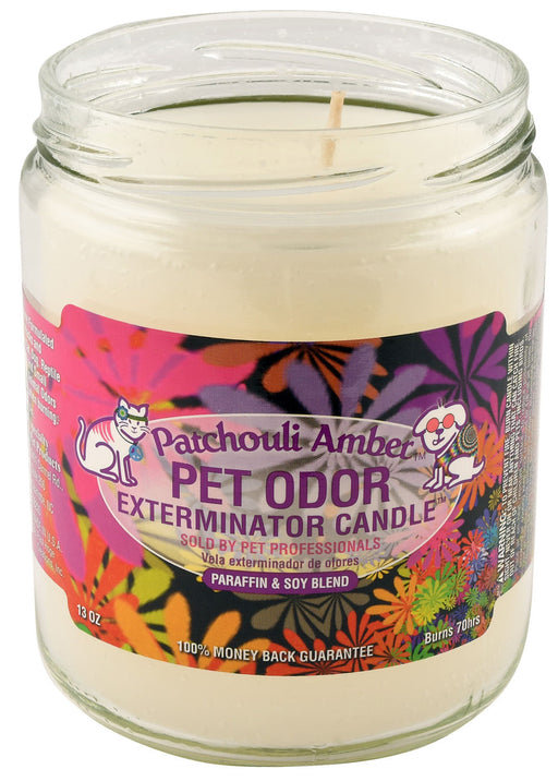 Pet Odor Exterminator Candle, Patchouli Amber, 13 oz -   