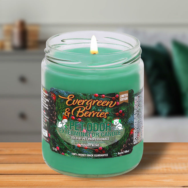 Pet Odor Exterminator Candle, Evergreen & Berries, 13 oz