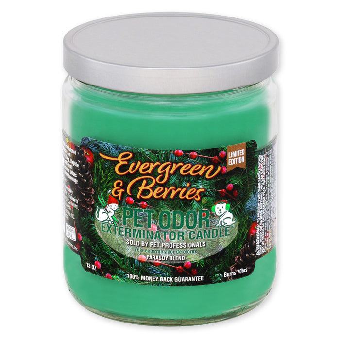 Pet Odor Exterminator Candle, Evergreen & Berries, 13 oz