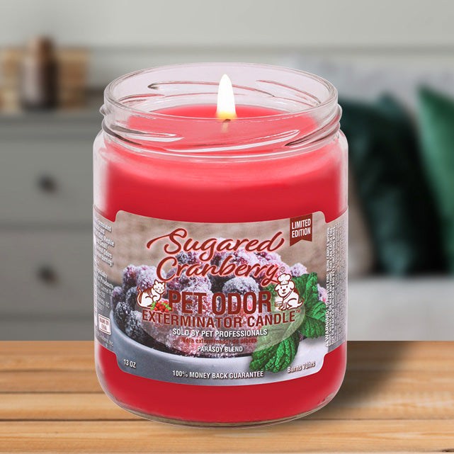 Pet Odor Exterminator Candle, Sugared Cranberry, 13 oz