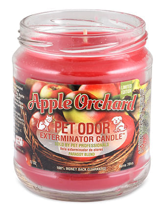 Pet Odor Exterminator Candle, Apple Orchard -   