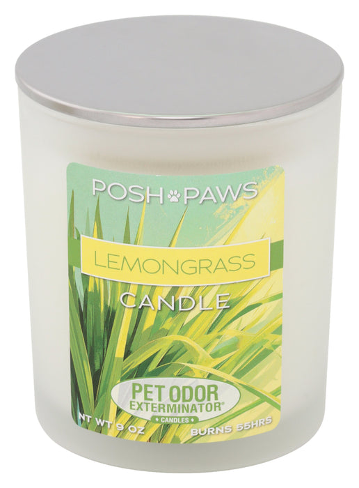 Pet Odor Exterminator Candle – Enzyme-Based Odor Eliminating Candle Safe for Pets