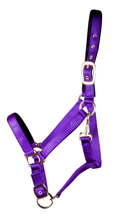 Lined Adjustable Nylon Halter for Medium Horse (600-900 lb) - Purple  