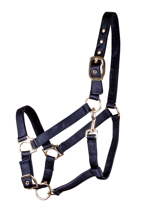 Jeffers Warmblood Adjustable Nylon Halters, (1200-1500 lb) - Black  