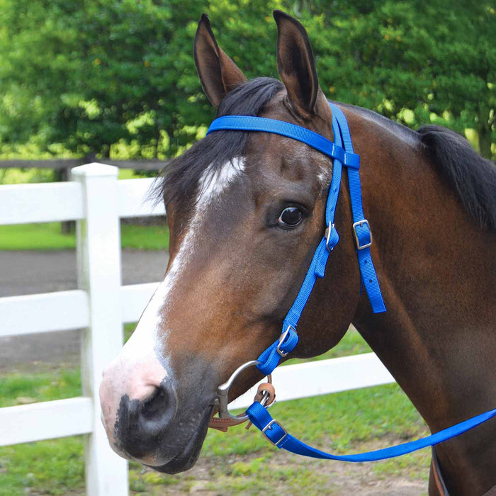 Jeffers Western Nylon Horse Bridle with 6' Split Reins Set