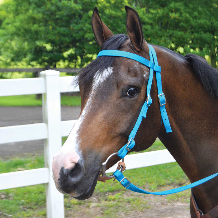 Jeffers Western Nylon Horse Bridle with 6' Split Reins Set
