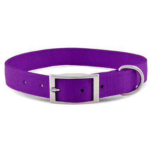 Jeffers 1" Wide Dog Collar, 16"L - Purple  