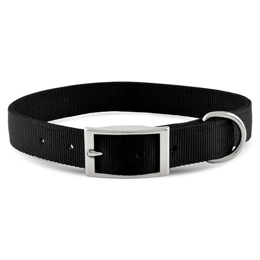 Jeffers 1" Wide Dog Collar, 16"L - Black  