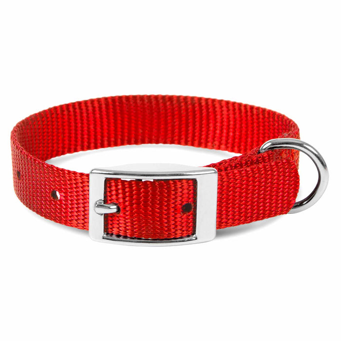 5/8"W Jeffers Nylon Dog Collar, 10"L - Apple  