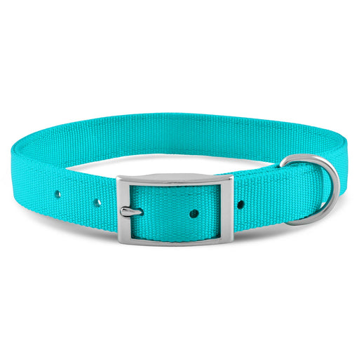 Jeffers 1" Wide Dog Collar, 16"L - Turquoise  