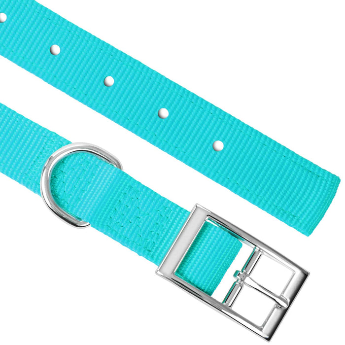 1"W Jeffers Nylon Dog Collar, 18"L - Turquoise  