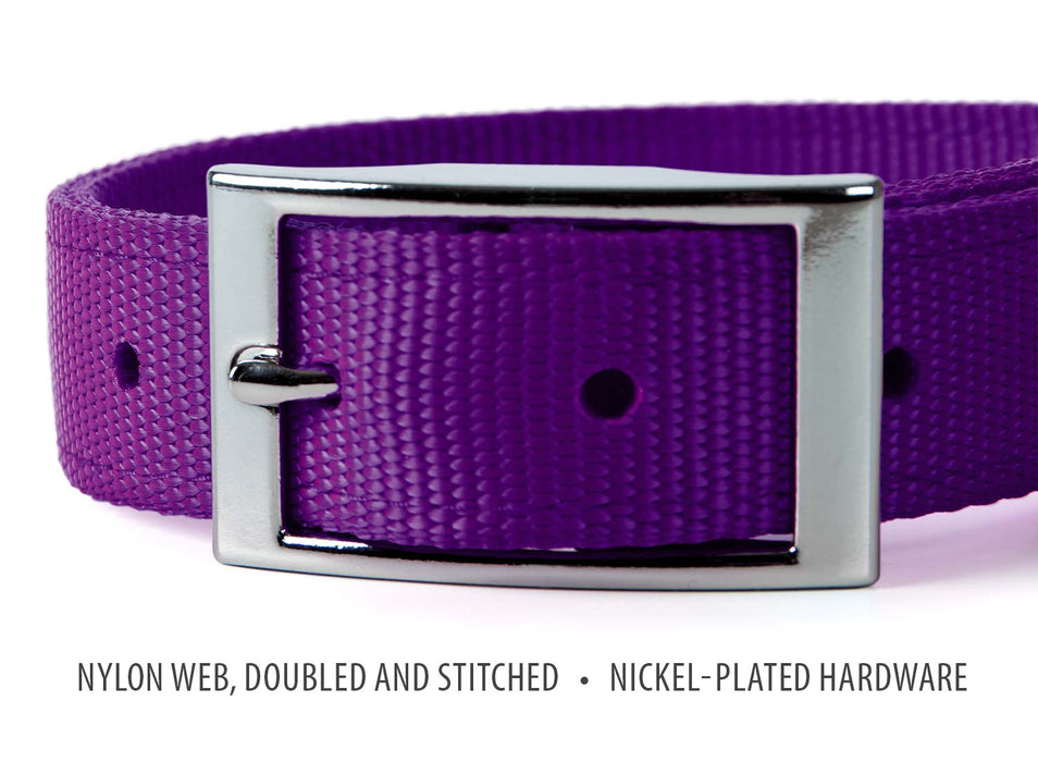 1"W Jeffers Dog Collars, 20"L - Purple  