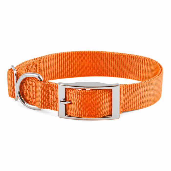 Collar de nailon ajustable Jeffers de 1 pulgada para perros, de 14 a 24 pulgadas