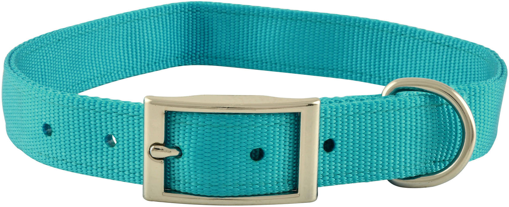 1" Nylon Dog Collar, 24"L - Turquoise  