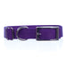 Jeffers 1" Adjustable Nylon Dog Collar, 14"-24" - Purple  