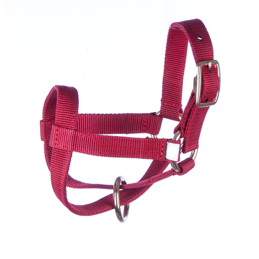 Jeffers Small Goat Halter - Red  