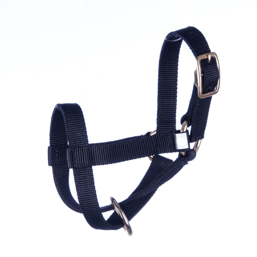 Jeffers Small Goat Halter - Black  