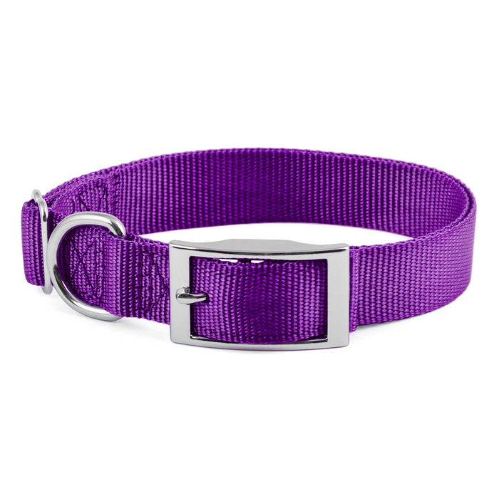 Collar de nailon ajustable Jeffers de 1 pulgada para perros, de 14 a 24 pulgadas