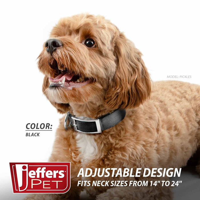 Collar de nailon ajustable Jeffers de 1 pulgada para perros, de 14 a 24 pulgadas