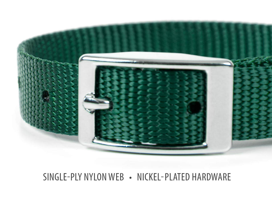 5/8"W Jeffers Nylon Dog Collar, 14" L - Dark Green  