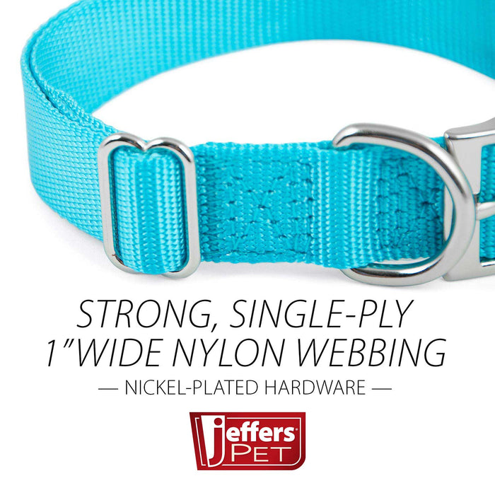Collar de nailon ajustable Jeffers de 1 pulgada para perros, de 14 a 24 pulgadas