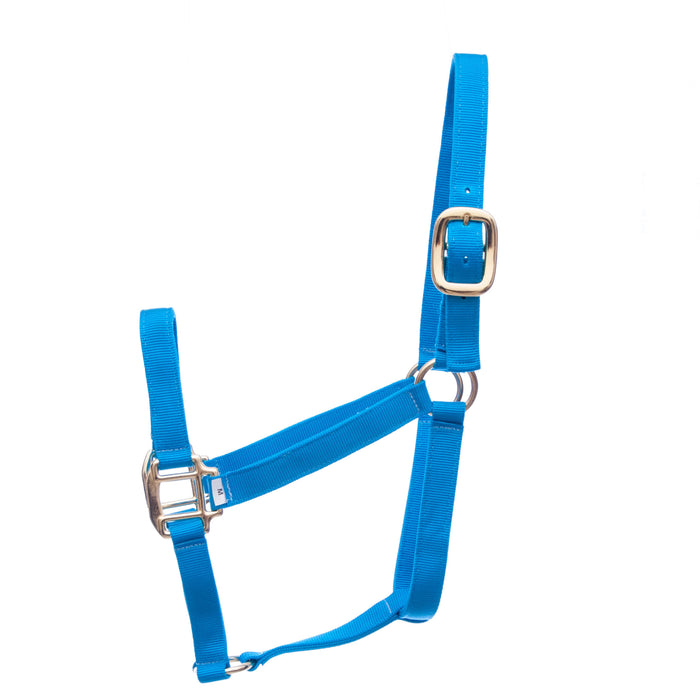 Premium Weanling Halters (3-ply, 1"W), 250-400 lb - Turquoise  